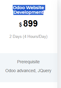 Odoo Website Development