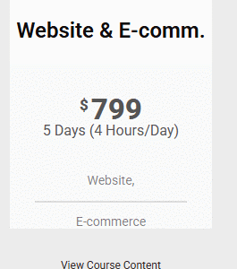 Website & E-commerce